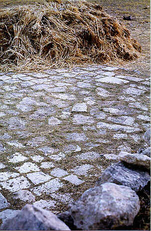 A Threshing Floor Near Bethlehem